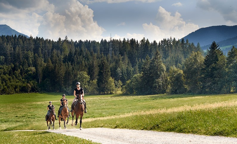 Reiturlaub in Flachau-Reitdorf