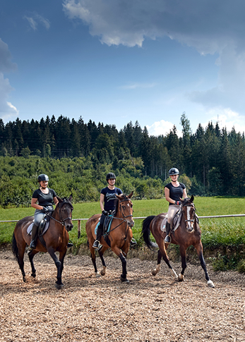 Reiten in Flachau, Salzburger Land